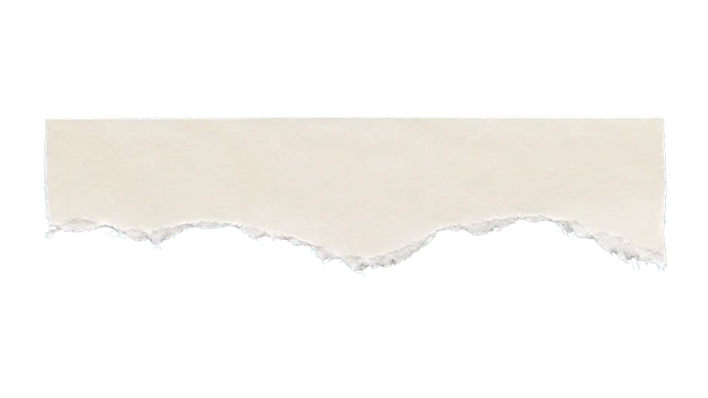 Ivory torn paper PNG showing a single-edge piece with soft feathered fibers along its torn boundary and transparent margins.
