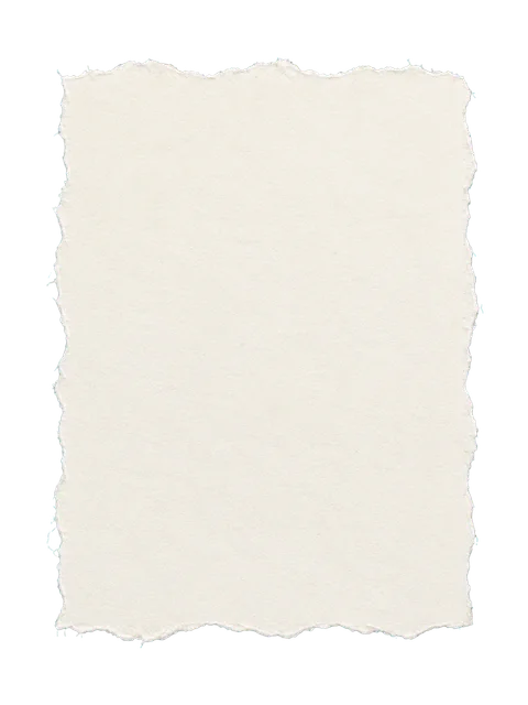 Ivory torn paper PNG showing a full sheet with soft feathered fibers along its torn boundary and transparent margins.